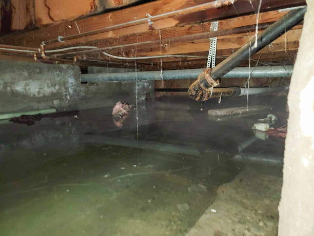 Water damage restoration process in Avon By The Sea, NJ
