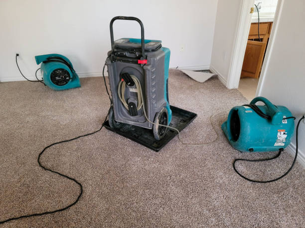 Best Water damage restoration near me  in Avon By The Sea, NJ
