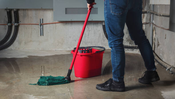 Best 24-hour water damage restoration  in Avon By The Sea, NJ