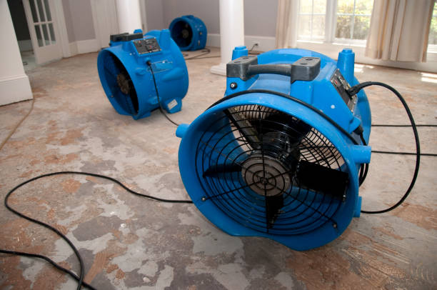 Best Professional water damage repair  in Avon By The Sea, NJ