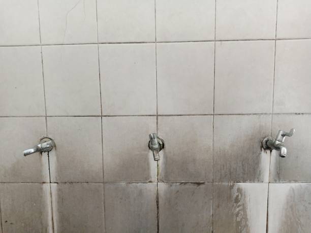 Best Water damage contractors near me  in Avon By The Sea, NJ