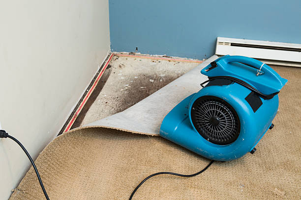 Best Residential water damage restoration  in Avon By The Sea, NJ